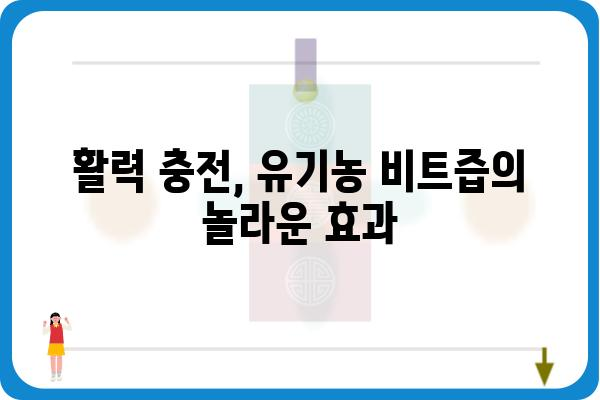 유기농 비트즙의 놀라운 효능 5가지 | 건강, 혈액순환, 면역력, 비트, 유기농