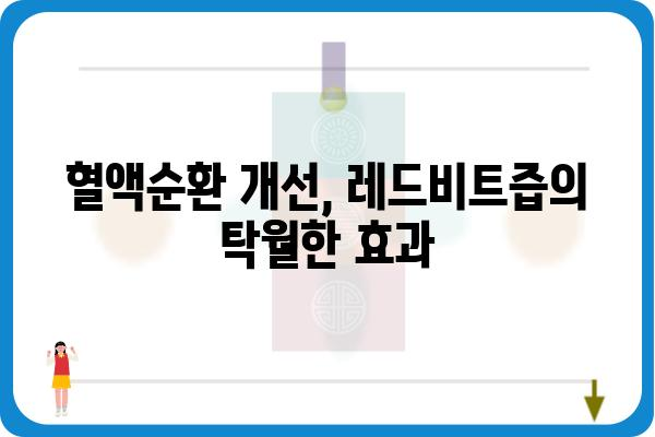 제주산 레드비트즙의 놀라운 효능 5가지 | 건강, 혈액순환, 면역력, 혈압, 제주