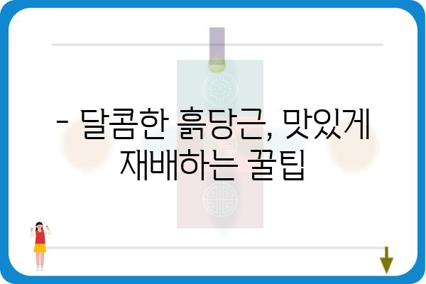 흙당근 재배, 맛과 영양을 한번에 잡는 꿀팁 | 텃밭, 유기농, 흙, 당근, 재배 방법, 팁