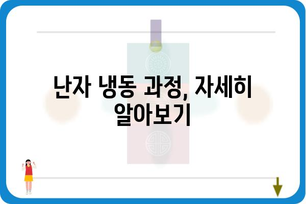 난자 냉동, 알아야 할 모든 것| 과정, 비용, 성공률 | 난임, 난임 치료, 여성 건강, 가임력 보존