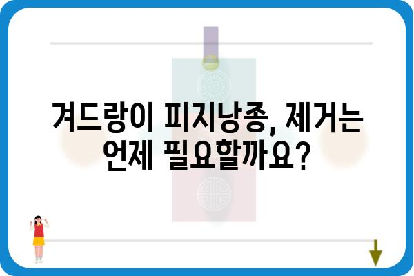 겨드랑이 피지낭종, 원인과 증상, 치료법 완벽 가이드 | 피지낭종, 겨드랑이 혹, 낭포, 제거