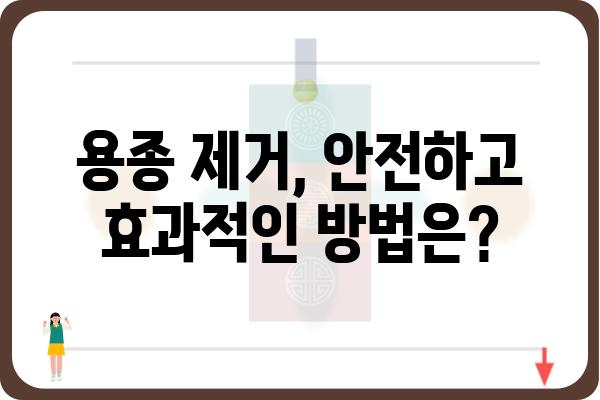 대장 용종 제거, 안전하고 효과적인 치료법 알아보기 | 용종 제거, 내시경, 대장암 예방