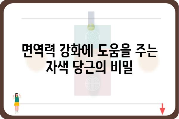 자색 당근의 놀라운 효능 7가지 | 건강, 항산화, 면역력, 피부, 눈 건강