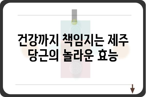 제주산 당근의 매력, 제대로 알아보기 | 품종, 효능, 맛, 레시피, 구매 정보