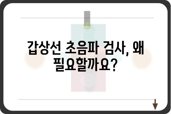 갑상선 초음파검사 완벽 가이드| 준비부터 결과 해석까지 | 갑상선, 초음파, 검사, 질환, 건강