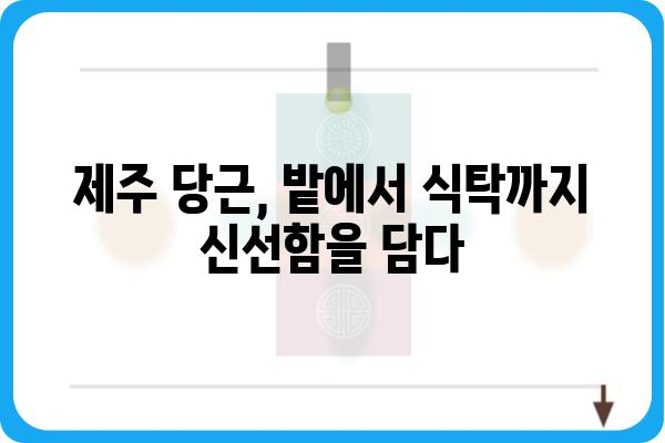 제주 당근, 밭에서 식탁까지| 제주 당근 맛있게 먹는 법 & 제주 당근 농가 이야기 | 제주 특산물, 당근 요리, 제주 당근 농장