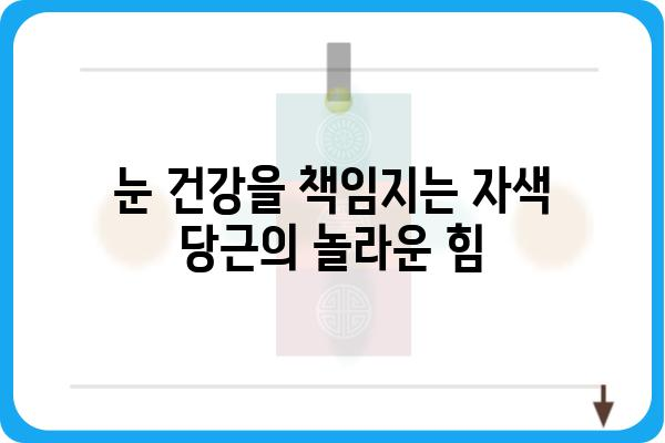 자색 당근의 놀라운 효능 7가지 | 건강, 항산화, 면역력, 피부, 눈 건강