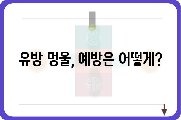 유방 멍울, 걱정되시나요? | 원인부터 진단까지, 알아야 할 모든 것