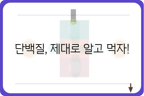 단백질의 모든 것| 종류, 기능, 섭취 가이드 | 영양, 건강, 식단, 단백질 보충제