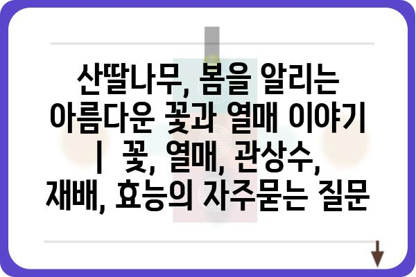 산딸나무, 봄을 알리는 아름다운 꽃과 열매 이야기 |  꽃, 열매, 관상수, 재배, 효능