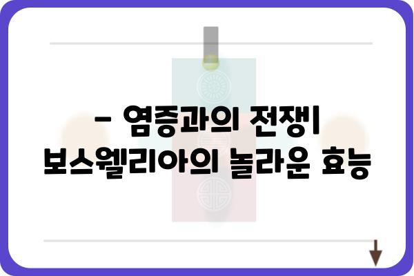 보스웰리아 효능, 부작용, 복용법 완벽 정리 | 관절 건강, 염증, 소화 건강