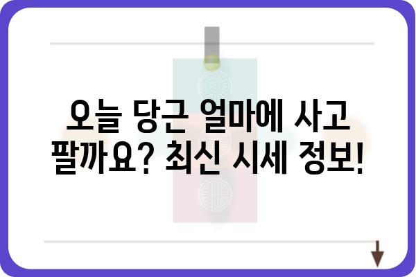 오늘 당근 가격은 얼마일까요? | 지역별 당근 시세 정보, 최신 가격 확인