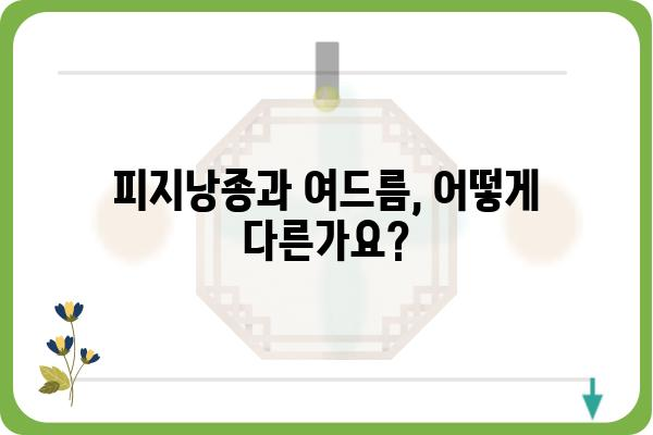 피지낭종 제거, 성형외과 전문의에게 맡겨보세요 | 피지낭종, 여드름, 흉터, 수술 후기, 비용, 전문의 추천