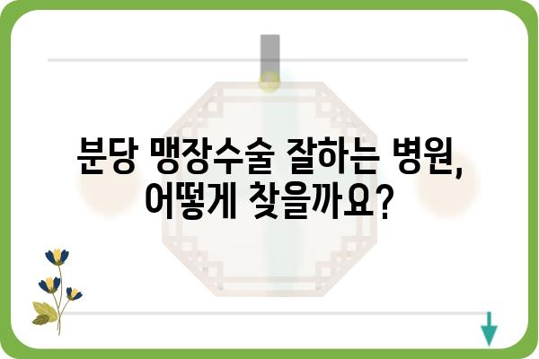 분당 맹장수술, 어디서 어떻게? | 병원 추천, 수술 과정, 비용 정보