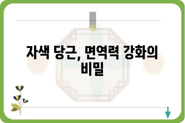 자색 당근의 놀라운 효능 7가지 | 면역력 강화, 항산화, 시력 보호, 혈관 건강