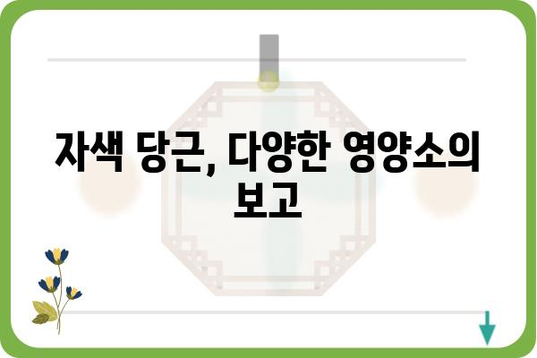 자색 당근의 놀라운 효능 7가지 | 면역력 강화, 항산화, 시력 보호, 혈관 건강