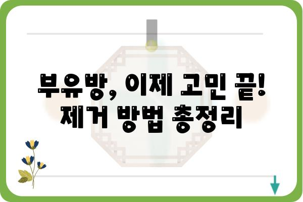 부유방 고민, 이제 그만! 🙅‍♀️ 부유방 제거 방법 총정리 | 부유방 제거, 부유방 수술, 부유방 운동, 부유방 크림, 부유방 관리