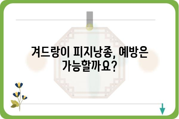 겨드랑이 피지낭종, 원인과 증상, 치료법 완벽 가이드 | 피지낭종, 겨드랑이 혹, 낭포, 제거