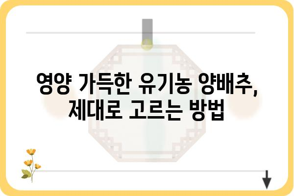 유기농 양배추 제대로 고르는 법| 싱싱함과 영양 가득한 선택 | 유기농 채소, 양배추 고르는 팁, 건강 식단