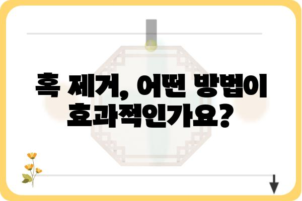 혹 제거, 안전하고 효과적인 방법 총정리 | 혹 제거, 피부과, 치료, 관리, 주의사항