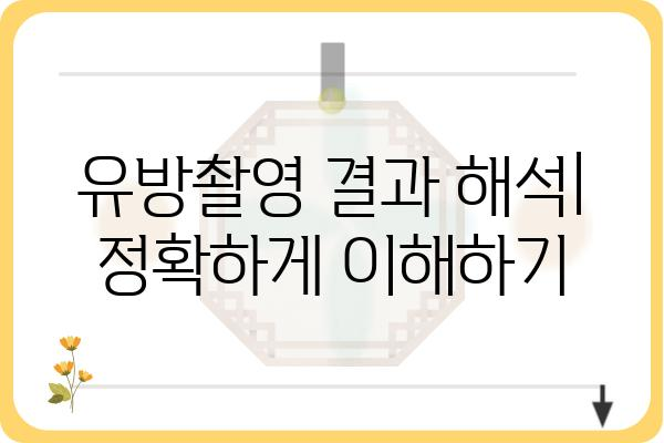 유방촬영 검사, 궁금한 모든 것| 종류, 준비, 결과 해석까지 | 유방암, 건강검진, 여성 건강