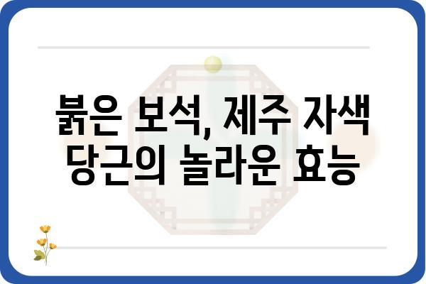 제주 자색 당근의 매력, 맛과 효능 제대로 알아보기 | 제주 특산물, 자색 당근 효능, 섭취 방법