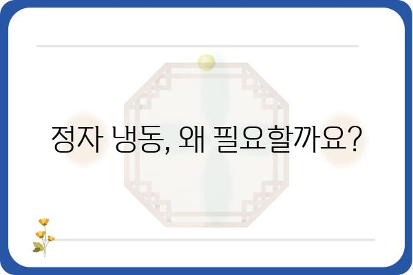 정자 냉동, 안전하고 현명하게| 정자 냉동 병원 선택 가이드 | 정자 보관, 난임, 불임, 냉동 정자, 정자 냉동 비용, 정자 냉동 절차