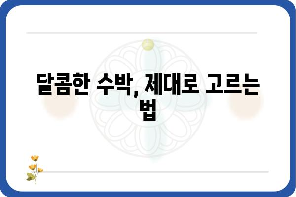 수박 제철 맞이, 달콤한 수박 고르는 꿀팁 | 수박 고르는 법, 수박 맛있게 먹는 법, 수박 요리