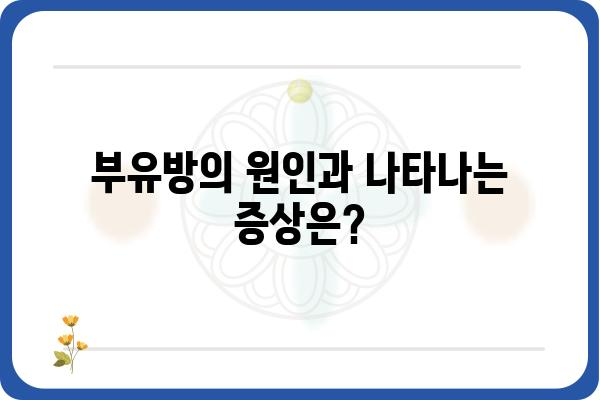 부유방 유선 조직| 원인, 증상, 치료 방법 | 부유방, 유선 조직, 멍울, 치료