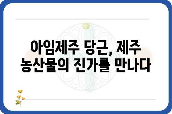 제주산 당근의 매력, 아임제주당근으로 만나보세요! | 제주 당근, 아임제주, 제주 농산물, 맛집 추천, 구매 정보