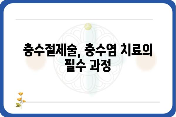 충수염, 혹시 겪고 계신가요? 증상과 치료, 그리고 예방법까지 | 급성충수염, 만성충수염, 충수절제술, 복통, 염증