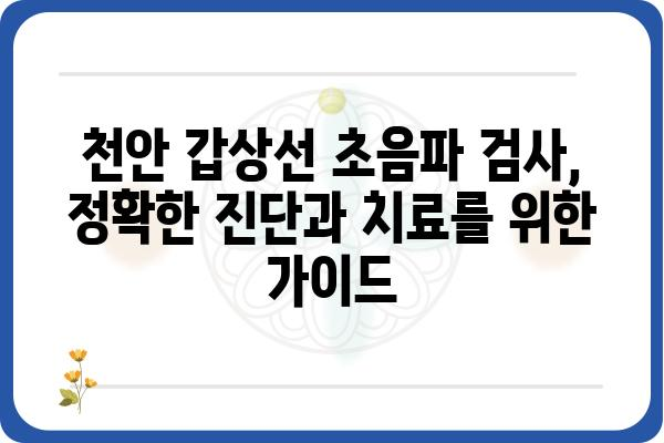 천안 갑상선 초음파 전문 병원 찾기| 정확한 진단과 치료를 위한 가이드 | 갑상선, 초음파 검사, 천안 병원, 전문의