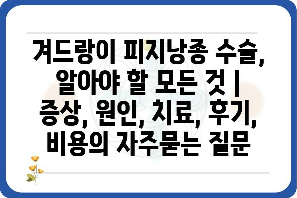 겨드랑이 피지낭종 수술, 알아야 할 모든 것 | 증상, 원인, 치료, 후기, 비용