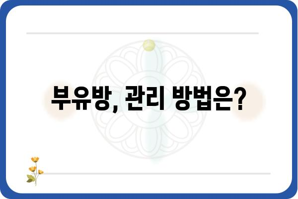 부유방 고민, 이제 그만! 부유방 치료 방법 총정리 | 부유방 제거, 부유방 수술, 부유방 원인, 부유방 관리