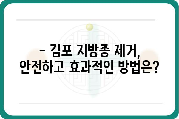 김포 지방종 제거, 어디서 어떻게 해야 할까요? | 김포 지방종 제거 병원, 비용, 후기, 전문의