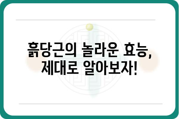 제주 흙당근의 매력, 제대로 알아보기 | 제주 특산물, 흙당근 효능, 맛집 추천