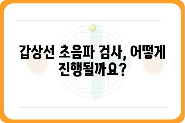 갑상선 초음파 검사, 이것만 알면 걱정 끝! | 갑상선 질환, 검사 과정, 주의 사항