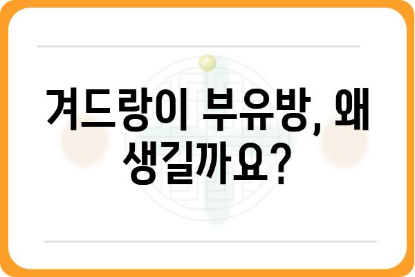 겨드랑이 부유방, 제대로 알고 관리하기 | 부유방 원인, 증상, 제거 방법, 운동, 수술, 비용