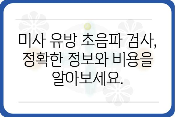 미사 유방 초음파 검사 안내 | 미사, 유방 초음파, 검사 정보, 예약, 비용