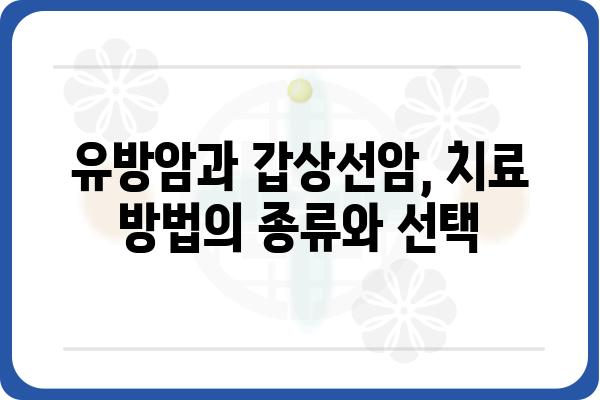 유방갑상선 질환, 나에게 맞는 치료법 찾기 | 유방암, 갑상선암, 진단, 치료, 정보