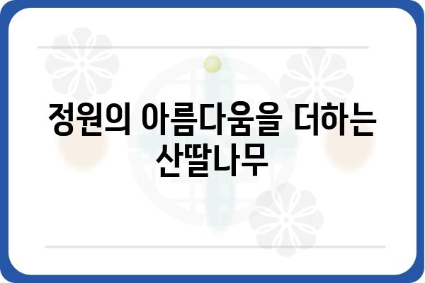 산딸나무, 봄을 알리는 아름다운 꽃과 열매 이야기 |  꽃, 열매, 관상수, 재배, 효능