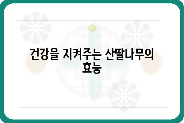 산딸나무, 봄을 알리는 아름다운 꽃과 열매 이야기 |  꽃, 열매, 관상수, 재배, 효능