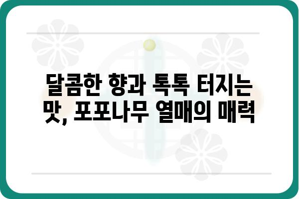 포포나무의 매력에 빠지다| 재배부터 활용까지 | 포포나무, 재배, 효능, 열매, 나무, 묘목