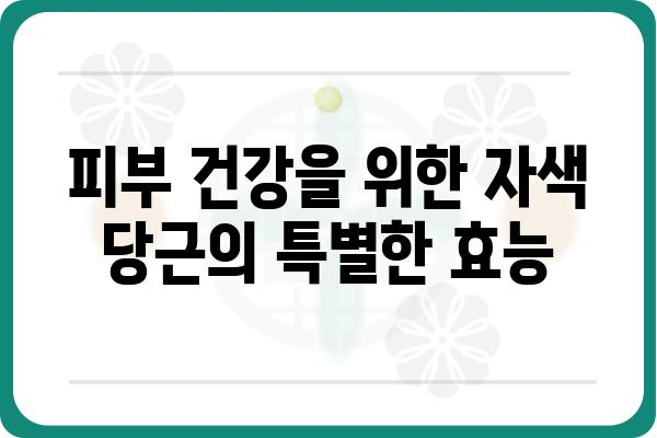 자색 당근의 놀라운 효능 7가지 | 건강, 항산화, 면역력, 피부, 눈 건강