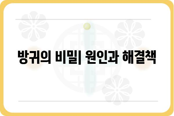 방귀가 자주 나오는 이유| 원인과 해결책 | 소화불량, 장 건강, 식습관