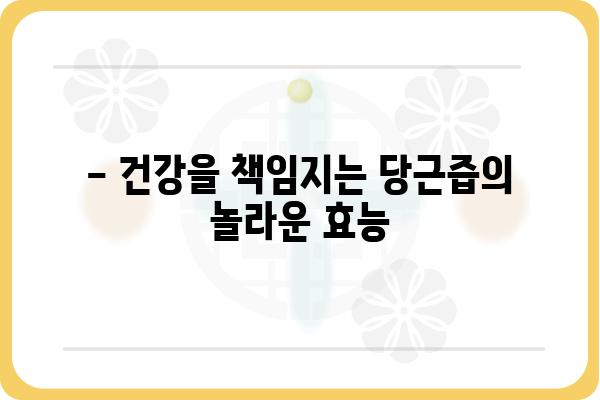 당근즙 효능 제대로 알아보기| 건강, 피부, 다이어트까지 | 당근즙 효능, 당근즙 추천, 당근즙 만드는 법