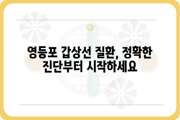 영등포 갑상선 질환, 어디서 치료해야 할까요? | 영등포 갑상선 전문 병원, 갑상선 검사, 갑상선 치료