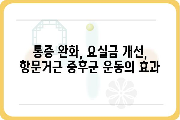 항문거근증후군 완화를 위한 운동과 생활 습관 개선 | 골반저 근육, 통증 완화, 요실금, 변비