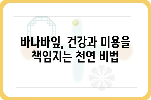 바나바잎의 효능과 활용법| 건강과 미용, 그리고 환경까지 | 바나바, 잎, 효능, 활용, 건강, 미용, 환경, 정보