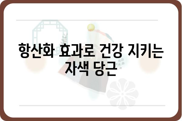 자색 당근의 놀라운 효능 7가지 | 면역력 강화, 항산화, 시력 보호, 혈관 건강